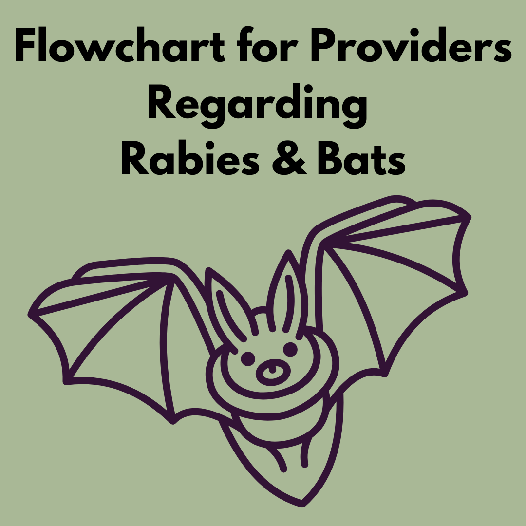 Rabies Flowchart for Providers Link