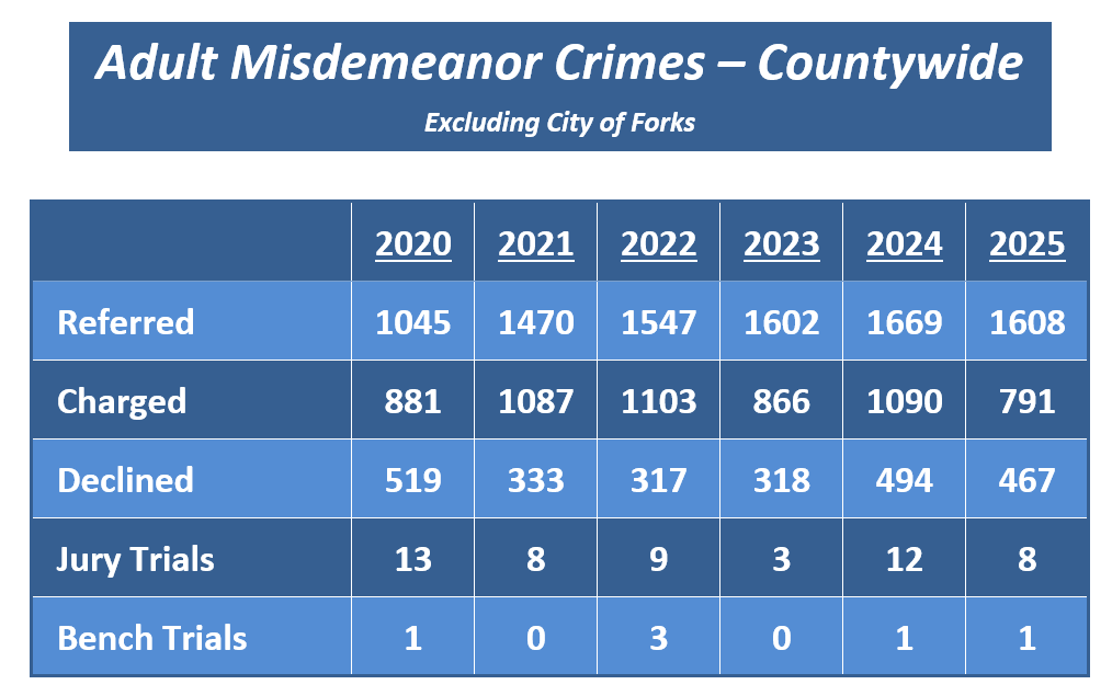 Image link to Adult Misdemeanor Crime Data